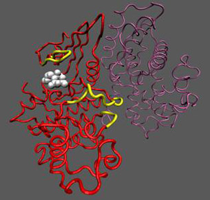 Unphosphorylierter Cdk 2-Cyclin A-Komplex (aktiv)
